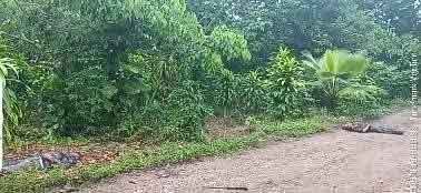 Riña mortal en Xicotepec: mueren dos hombres atacados con machete