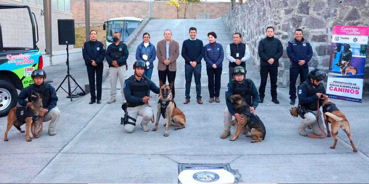 La Unidad Canina de Puebla refuerza sus filas con 10 nuevos ejemplares