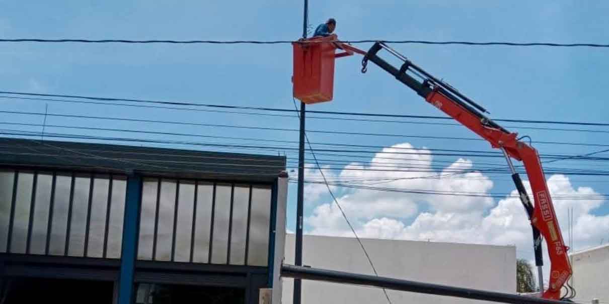 Secretaría de Servicios Públicos continúa con el mantenimiento a puntos de luz en la ciudad