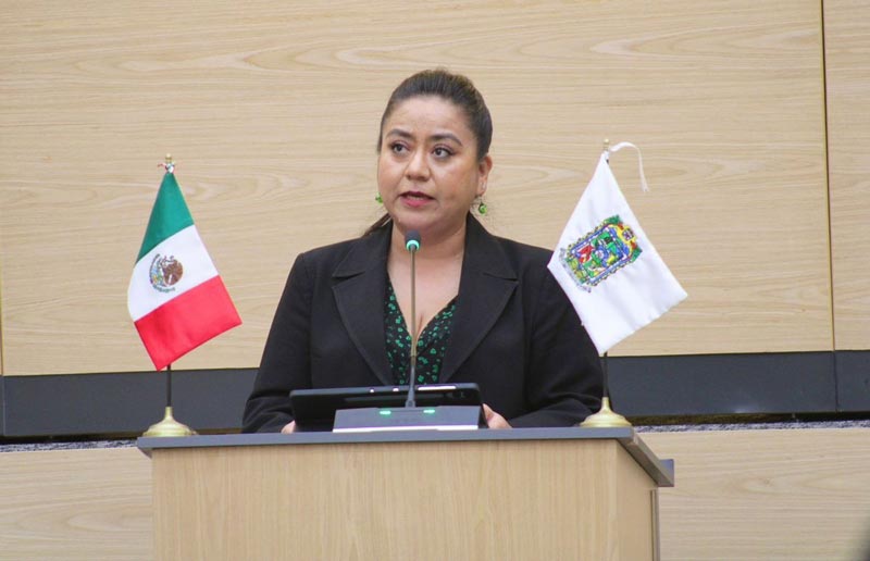 Una convocatoria municipal “amañada” complicará las cosas en AN: Celia Bonaga