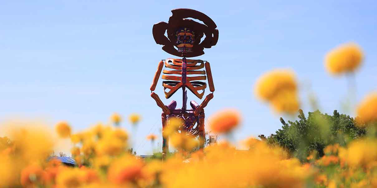 Valle de Catrinas en Atlixco