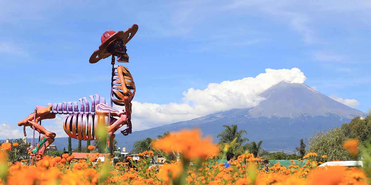 Valle de Catrinas en Atlixco