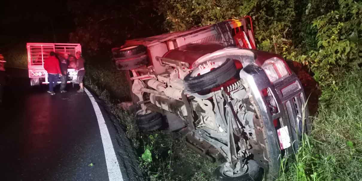 Camión con cerdos se accidenta en la Pachuca-Tuxpan