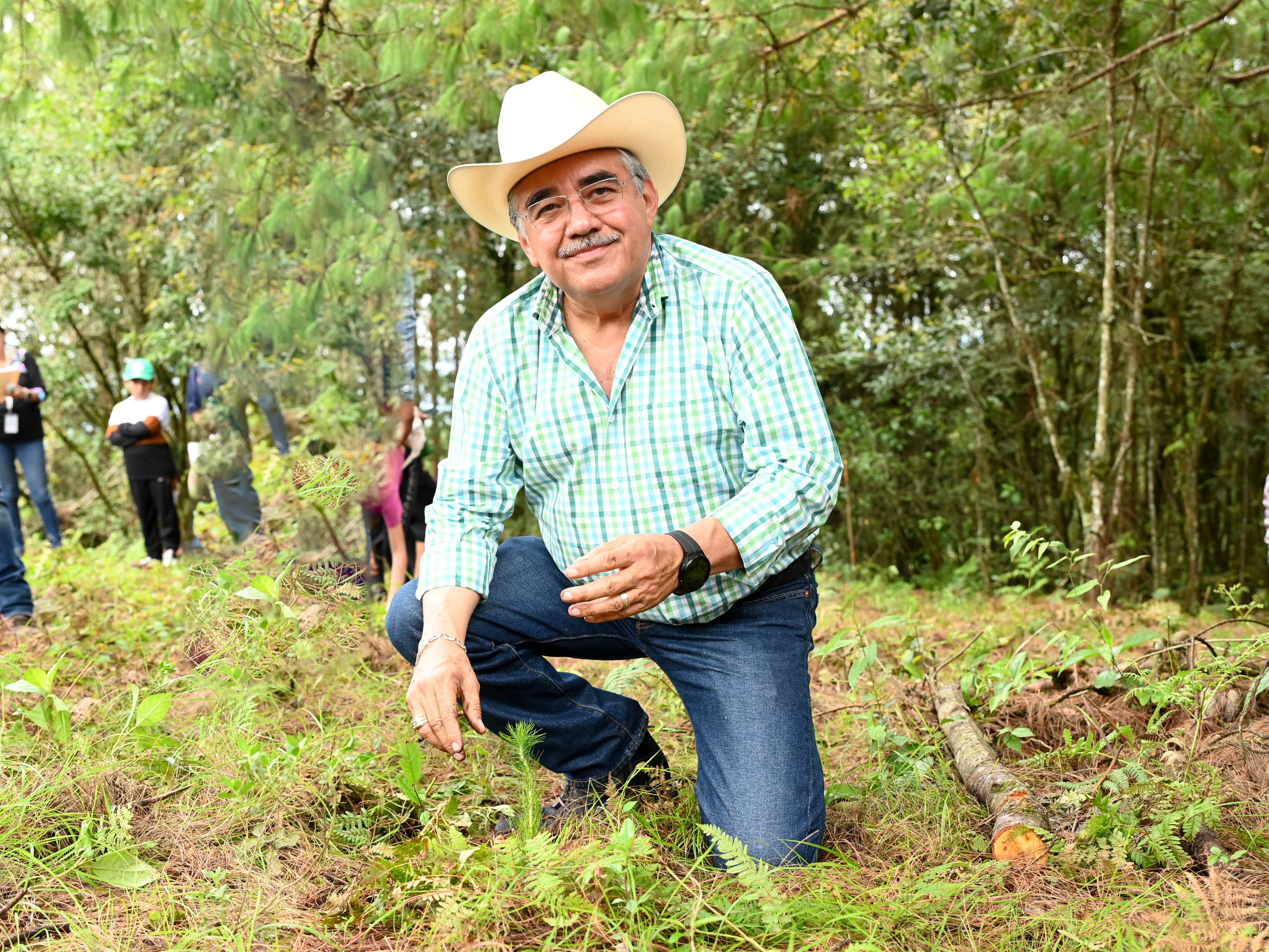 Reforestación en Huauchinango