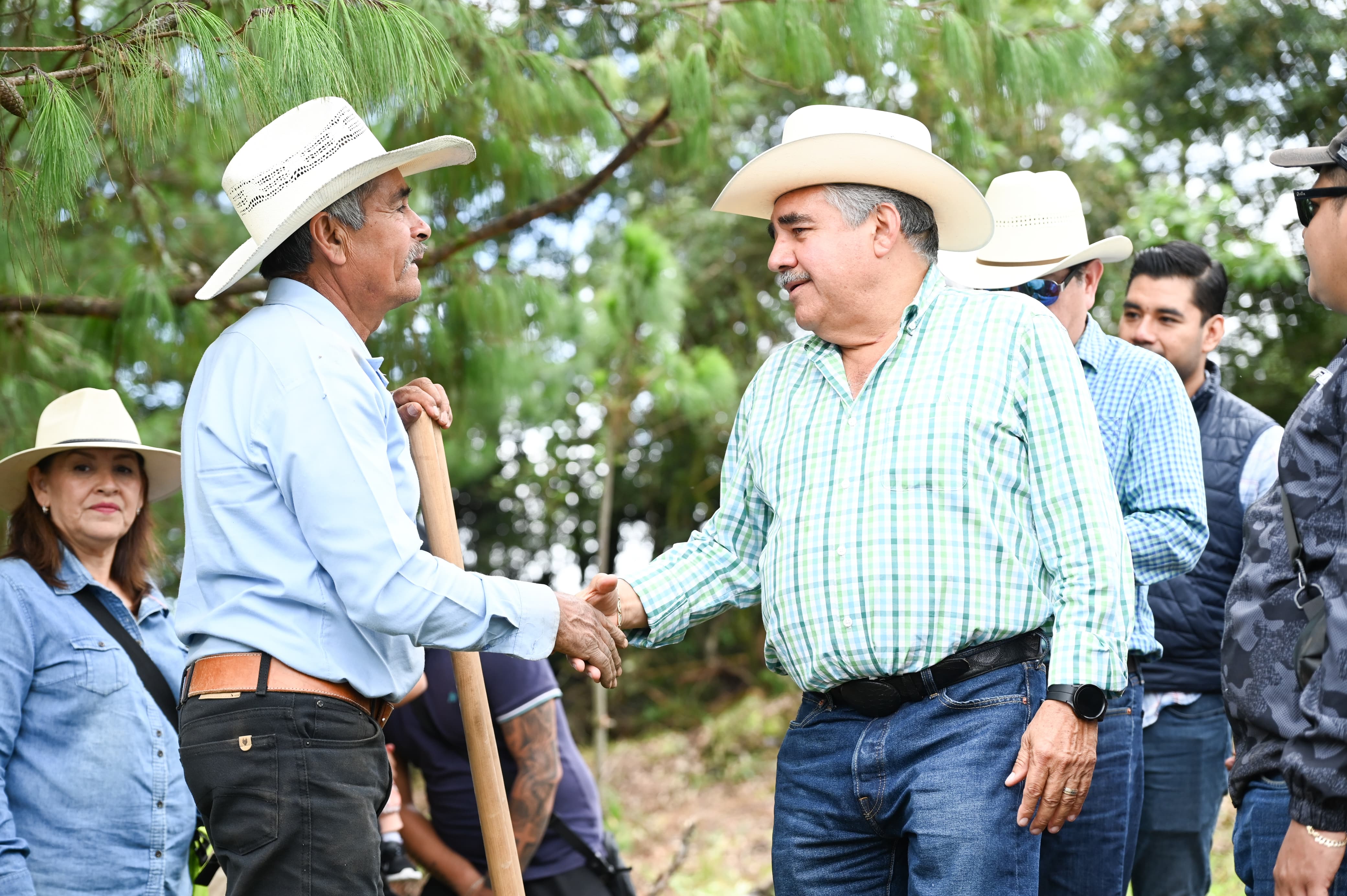 Reforestación en Huauchinango