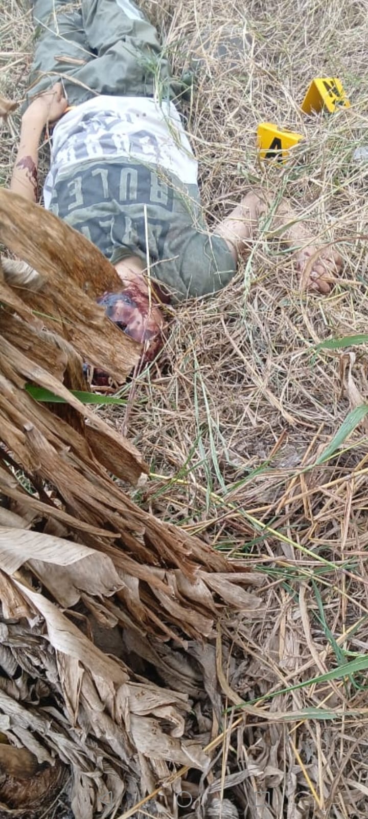 Adolescente asesinado