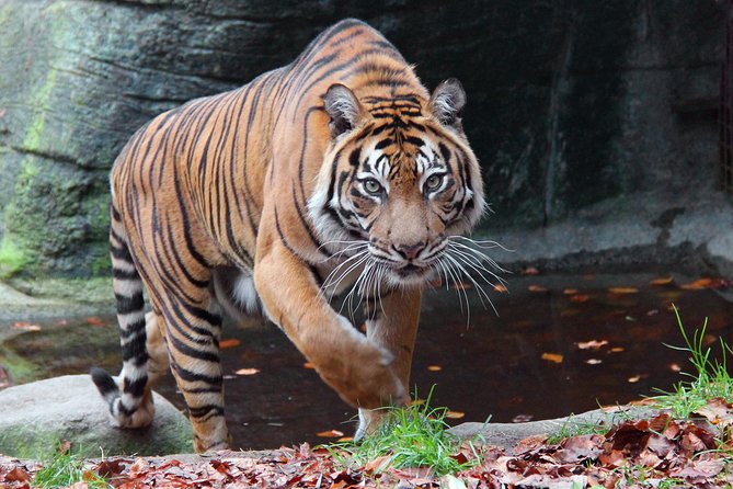 Zoológico