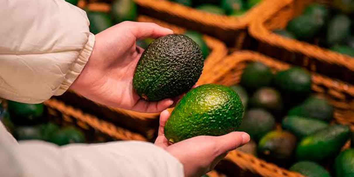 Aguacate