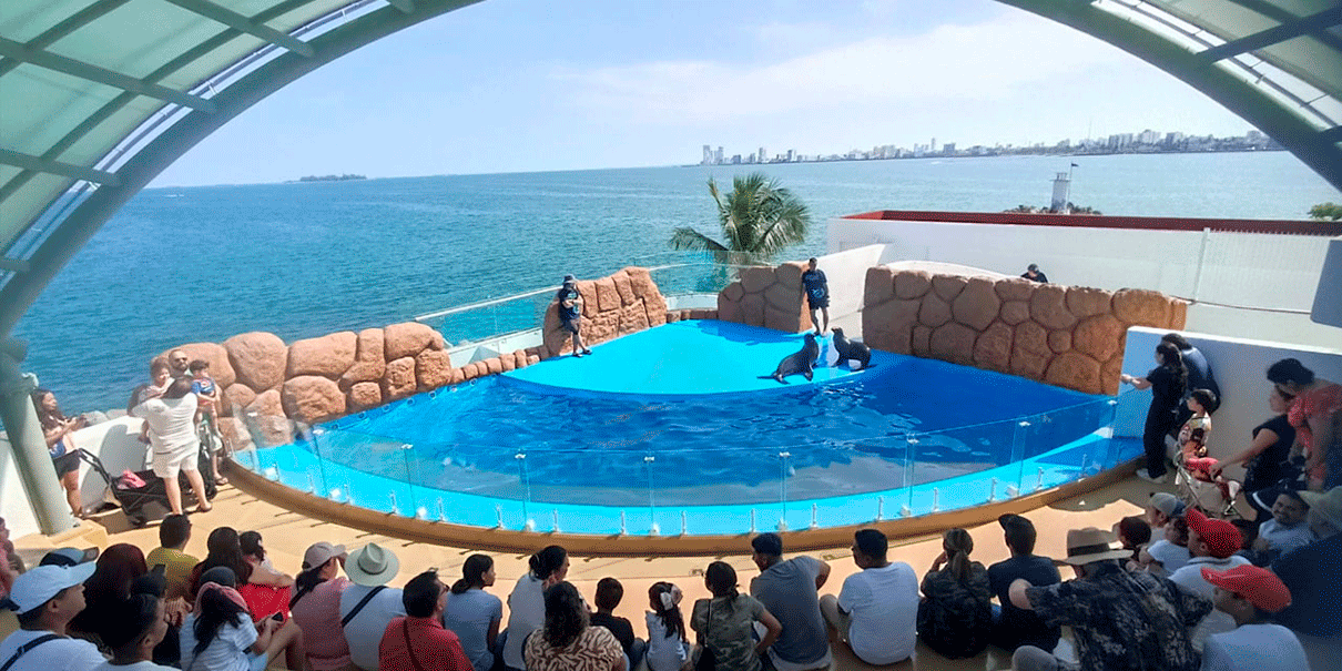 Aquarium de Veracruz 