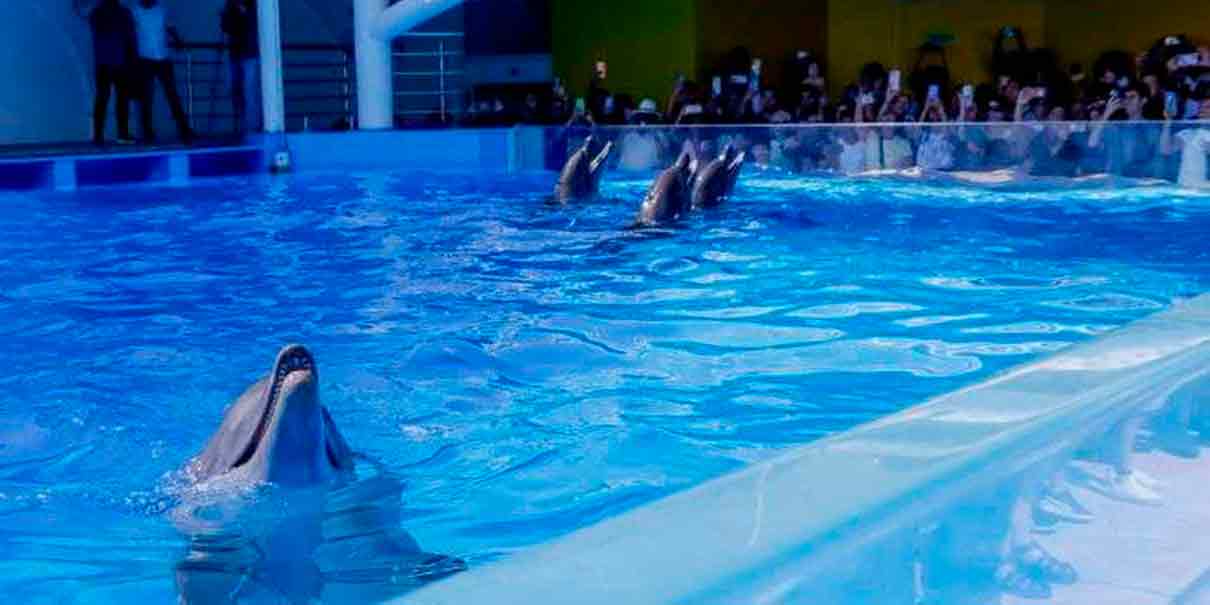 Aquarium de Veracruz 