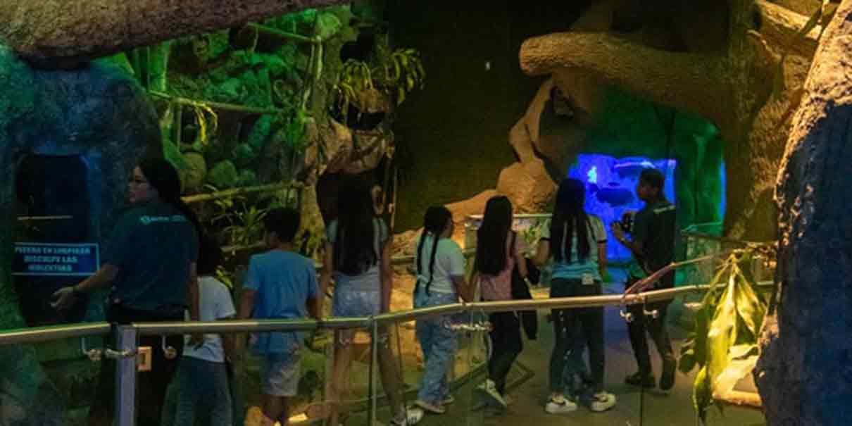 Aquarium de Veracruz 