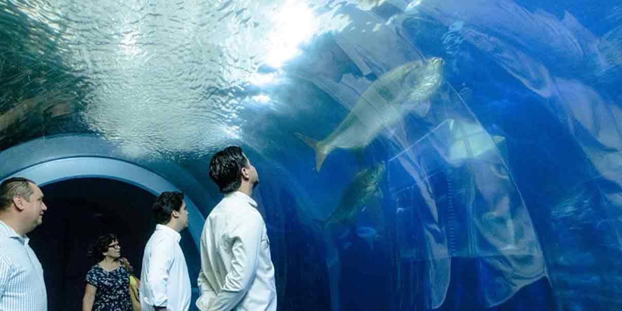 Aquarium de Veracruz 