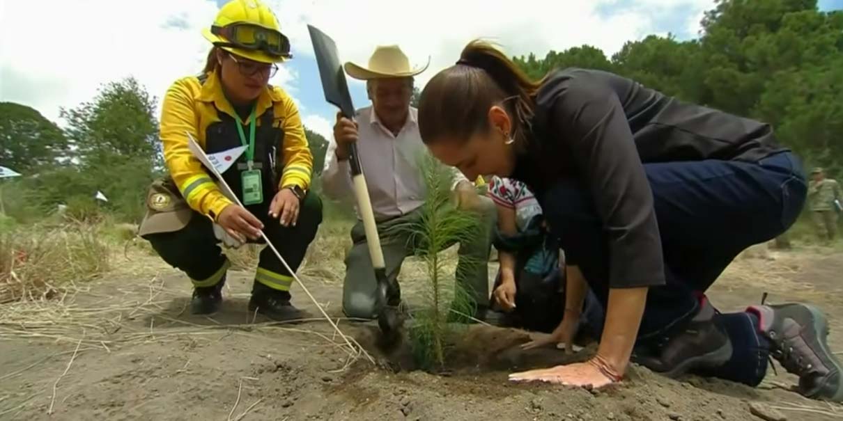 Jornada Nacional de Reforestación Siembra Conciencia, Comunidad y Futuro