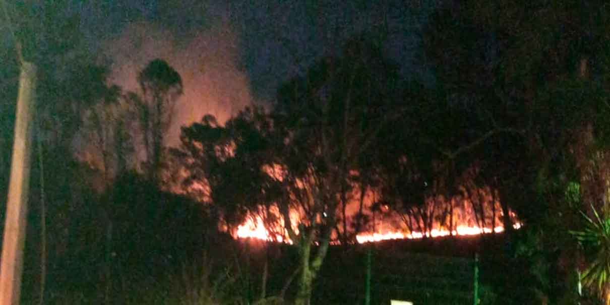 Incendio Forestal