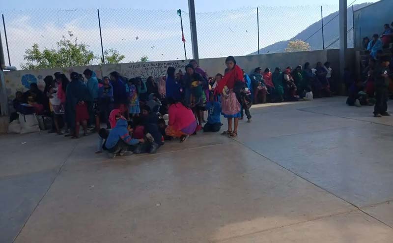Ataques de Los Ardillos obligan a huir a comunidades indígenas en Guerrero