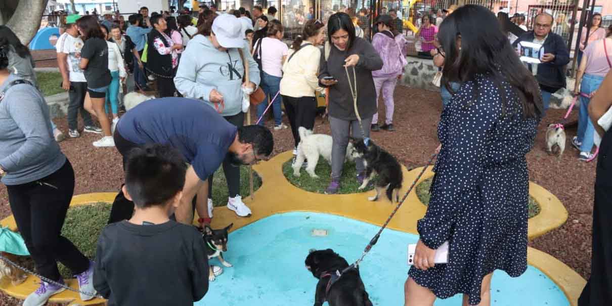 Ariadna Ayala inaugura parque para mascotas en Atlixco