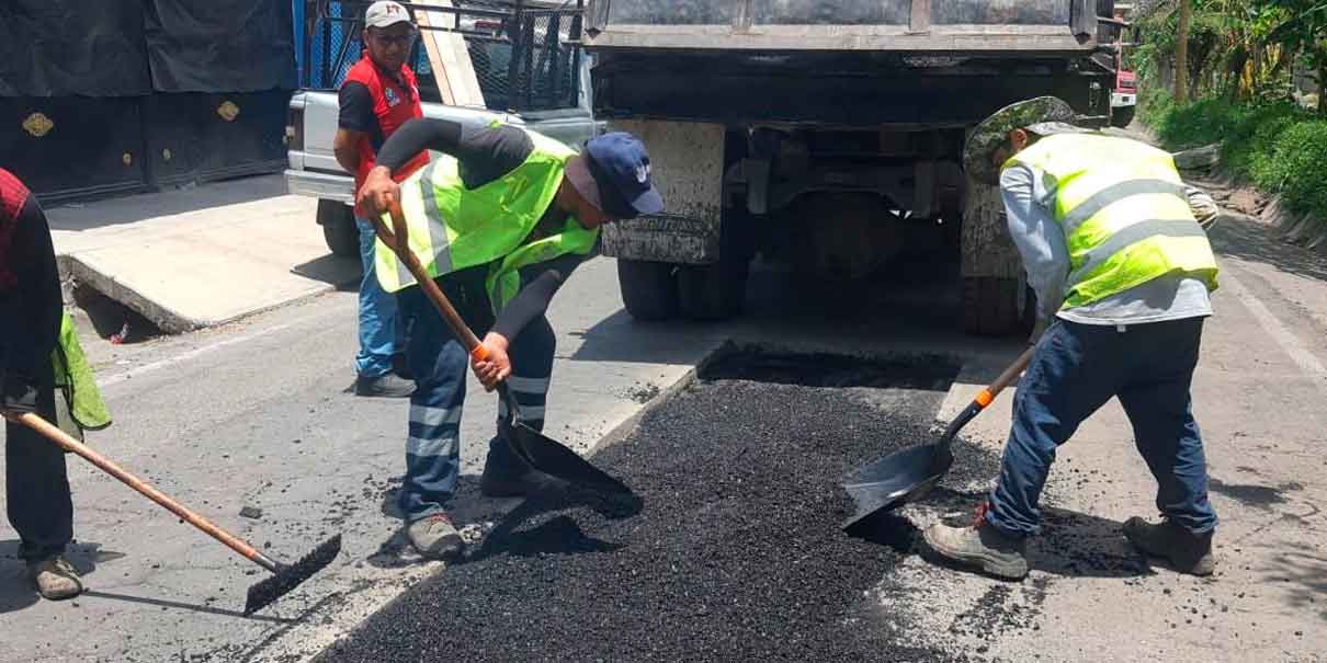 Bacheo