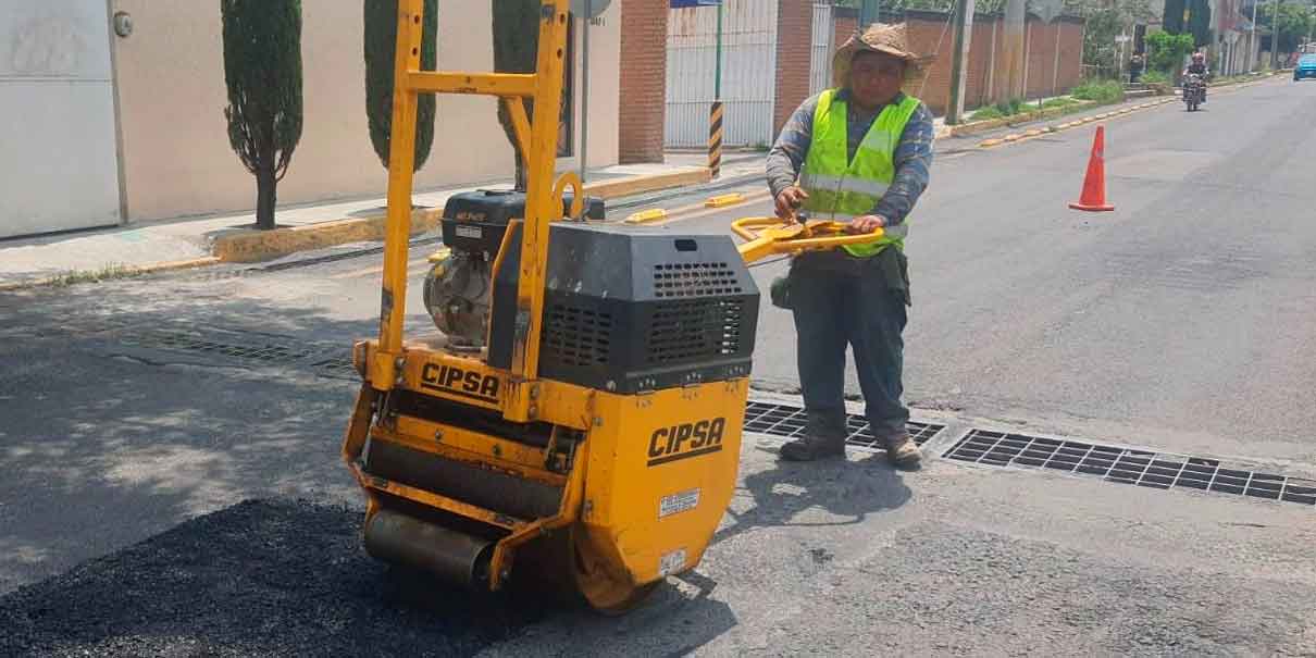 Bacheo