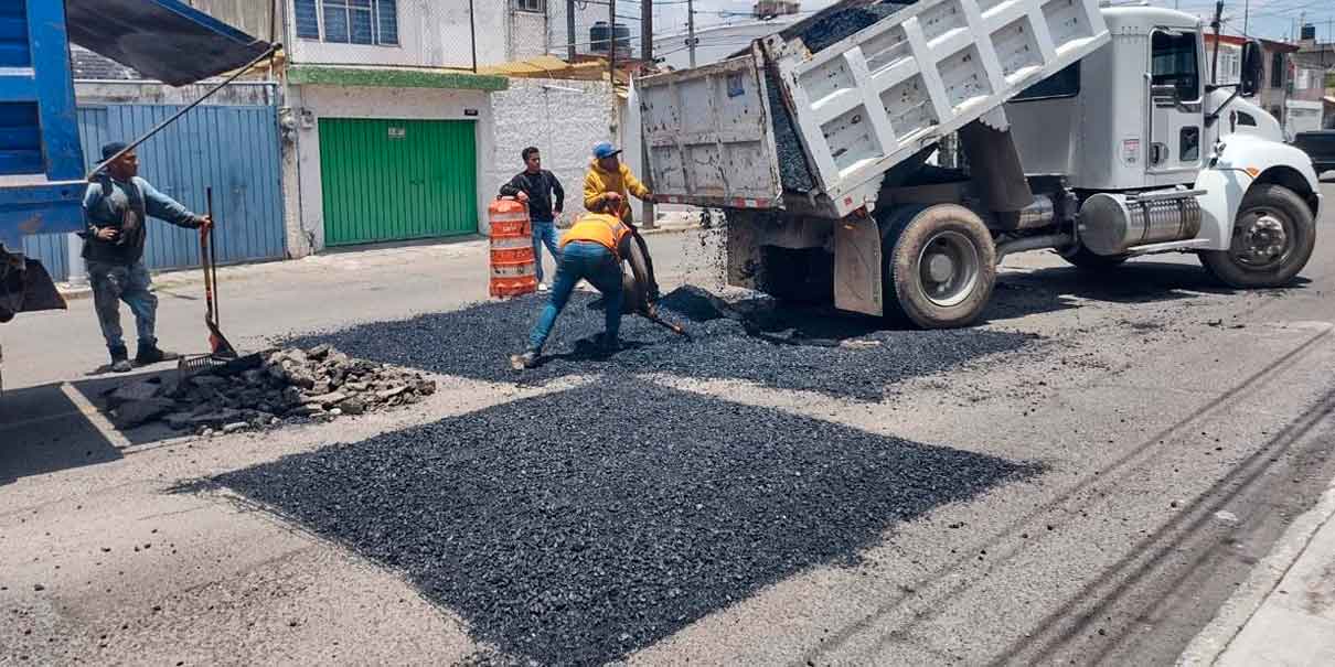 Bacheo