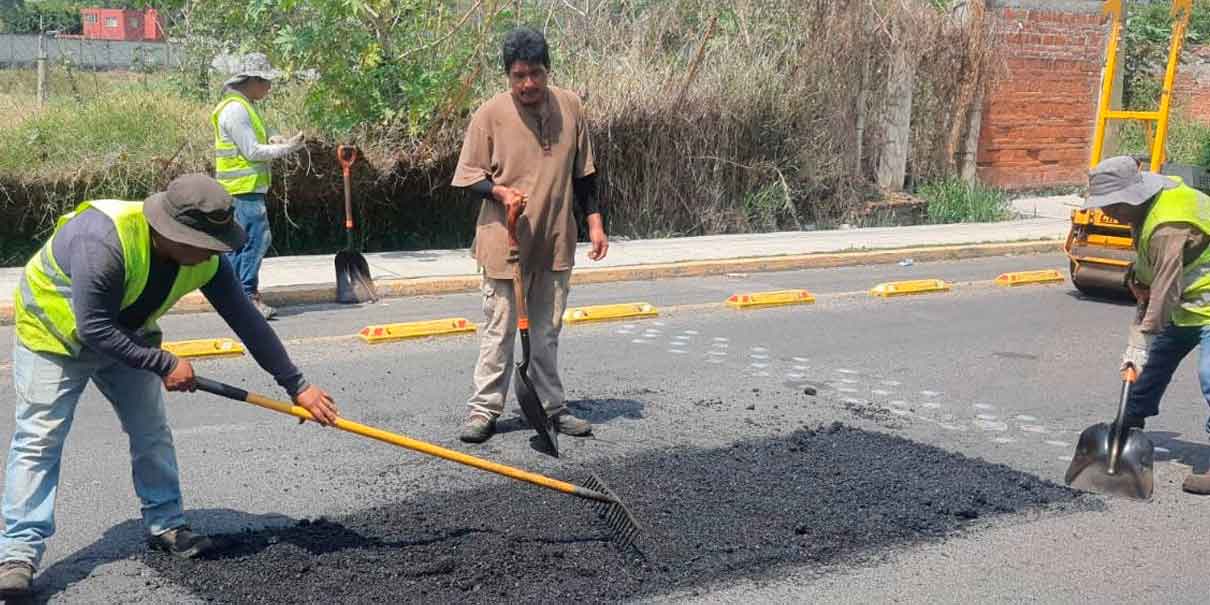 Bacheo