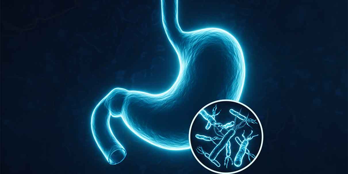 Bacteria Helicobacter pylori