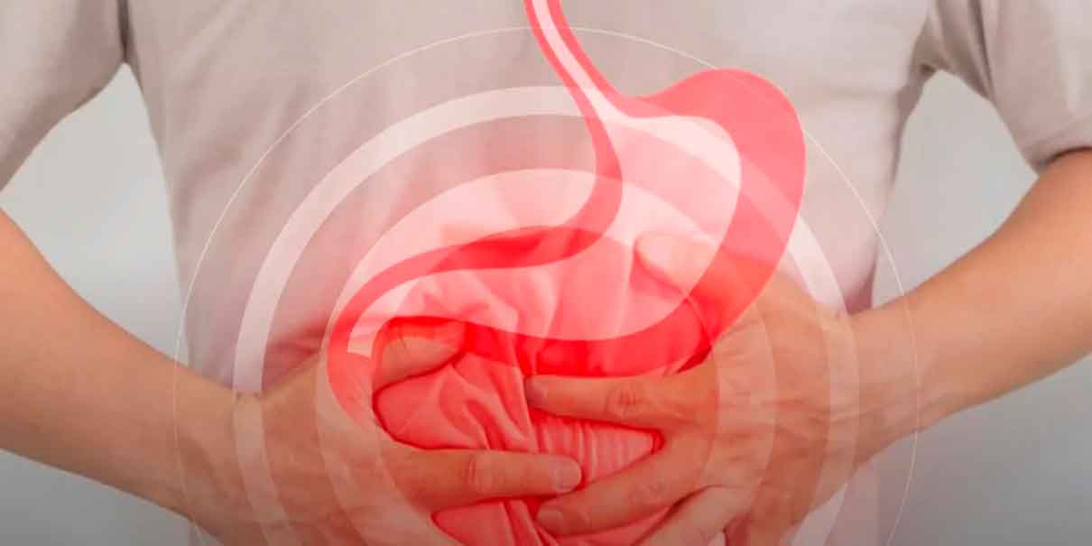 Bacteria Helicobacter pylori