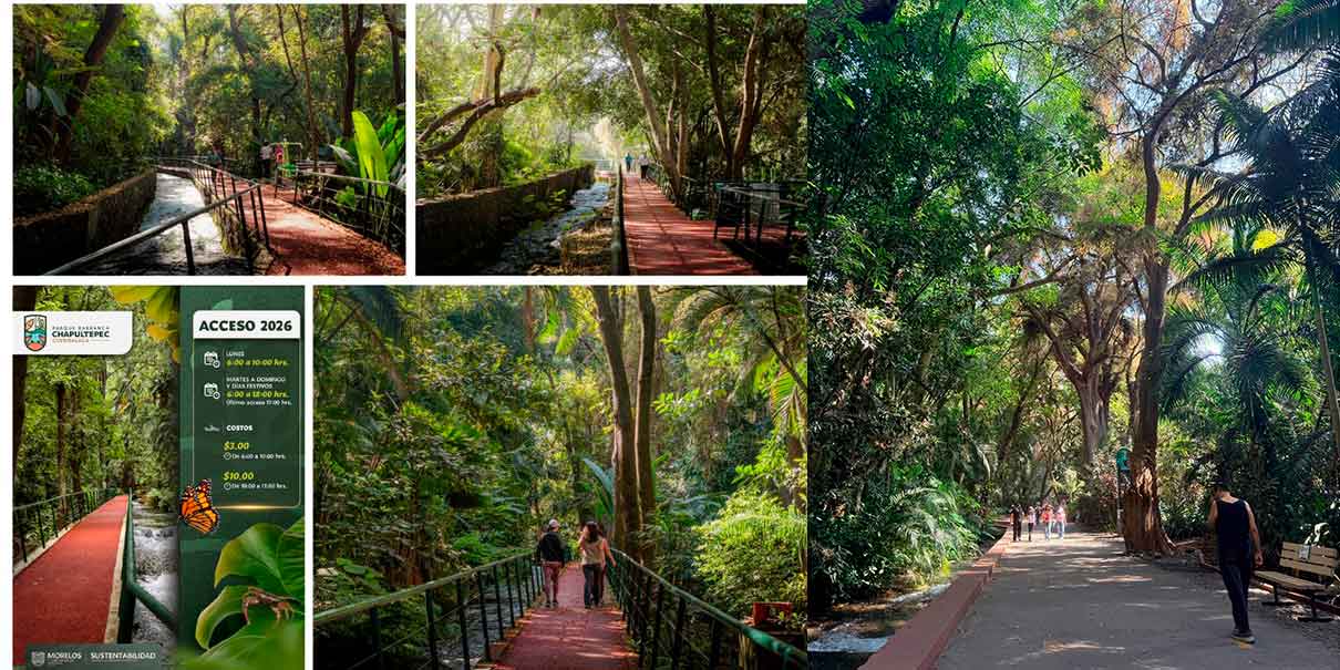 Parque Estatal Urbano Barranca de Chapultepec