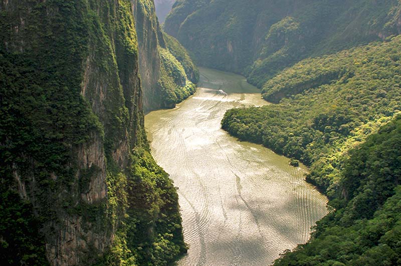¿Buscas un destino diferente? Así son las Lagunas de Catazajá, el tesoro natural de Chiapas
