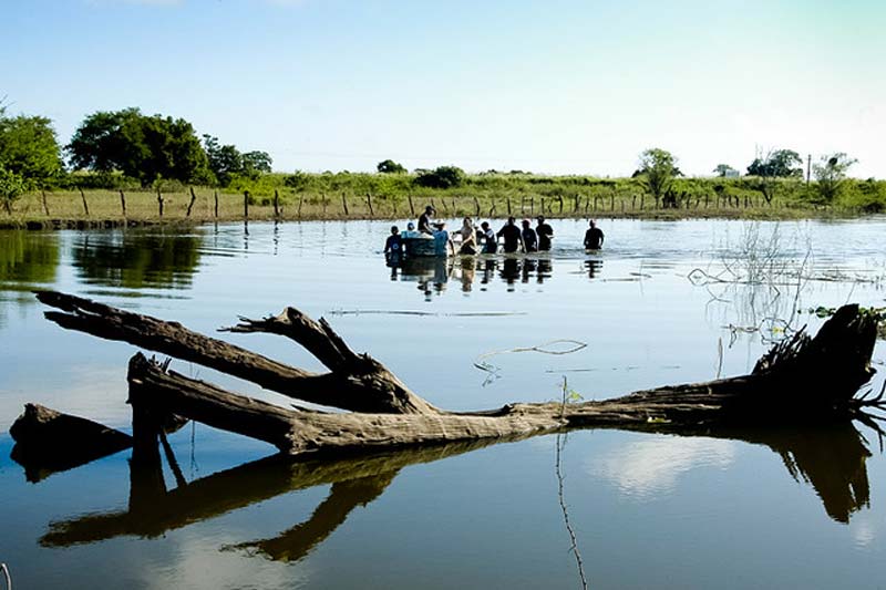 ¿Buscas un destino diferente? Así son las Lagunas de Catazajá, el tesoro natural de Chiapas
