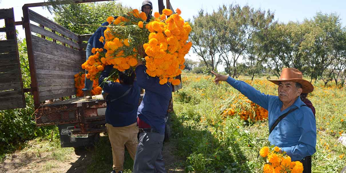Flores de Atlixco 
