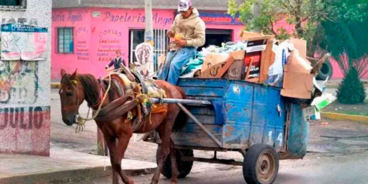 caballo