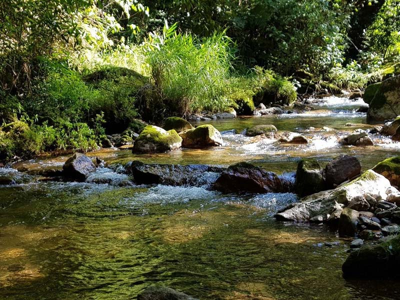 Cascada Las Brisas, Puebla: descubre este rincón escondido lleno de belleza