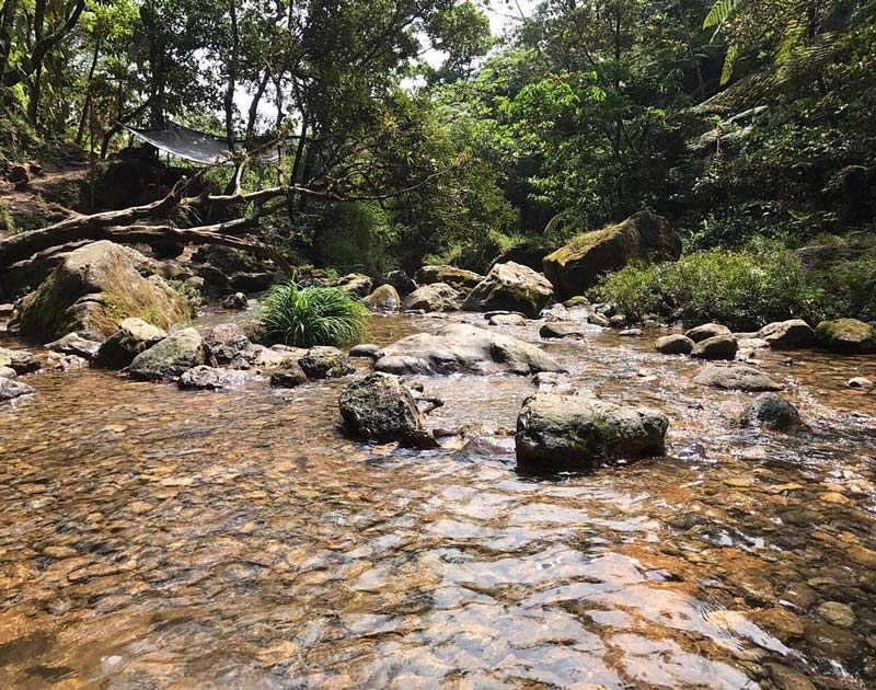Cascada Las Brisas, Puebla: descubre este rincón escondido lleno de belleza
