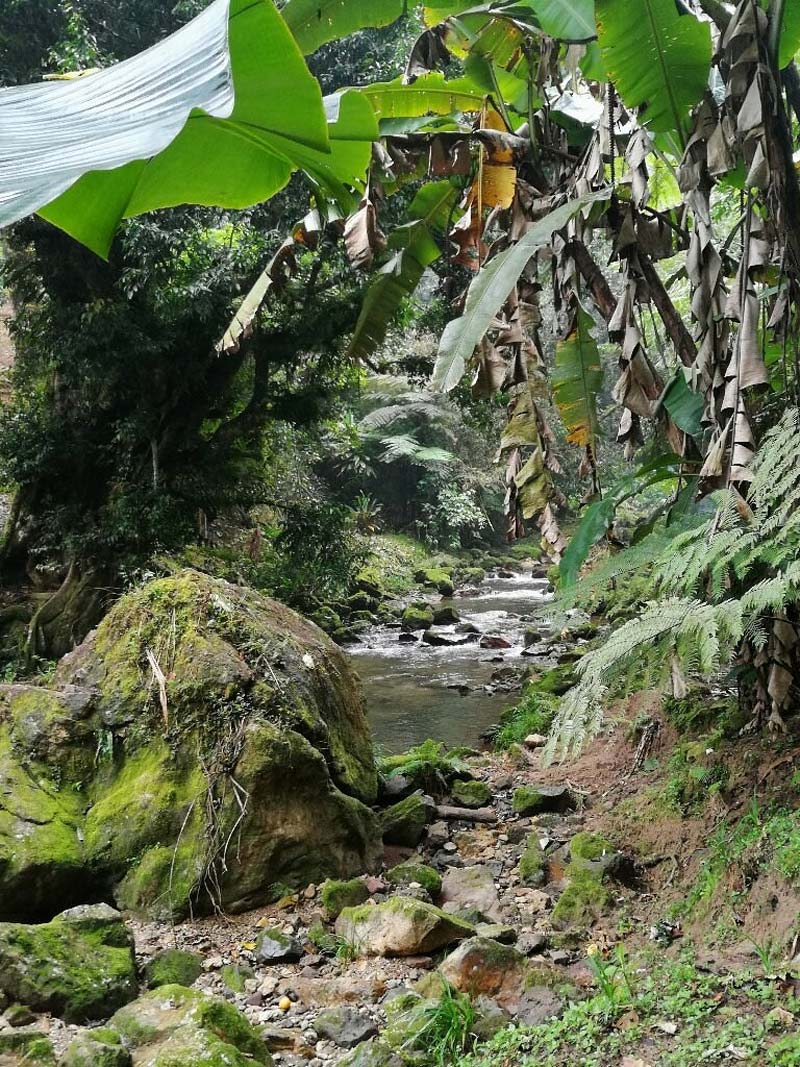 Cascada Las Brisas, Puebla: descubre este rincón escondido lleno de belleza