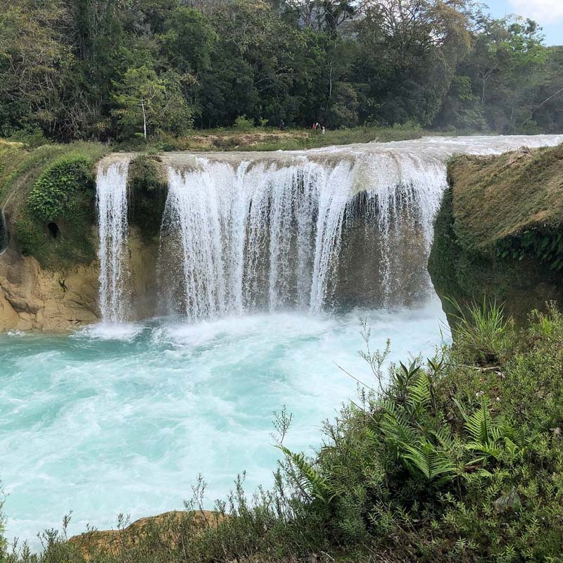 Cascadas Las Nubes, Chiapas: el santuario turquesa de la Selva Lacandona que debes visitar