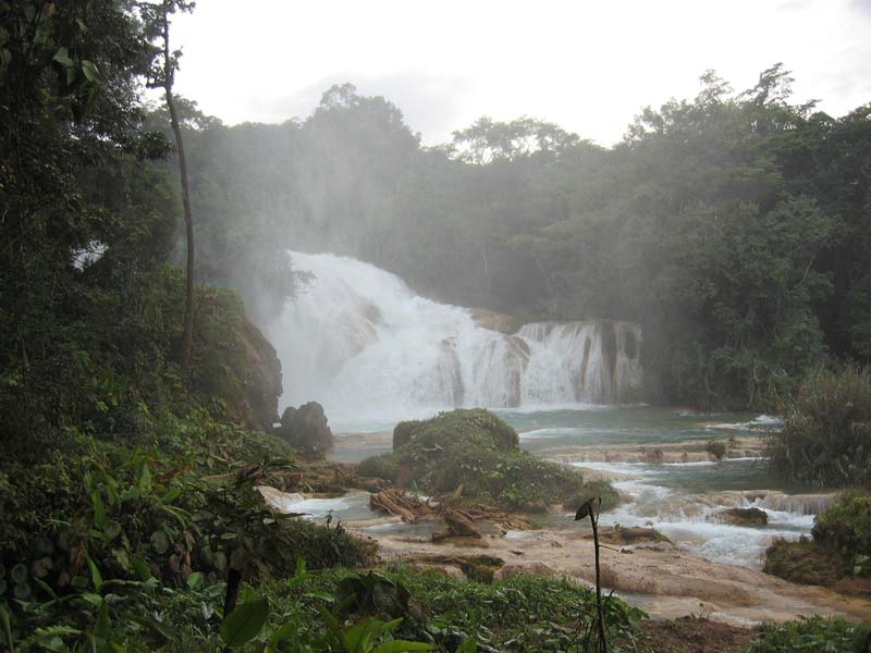 Cascadas Las Nubes, Chiapas: el santuario turquesa de la Selva Lacandona que debes visitar