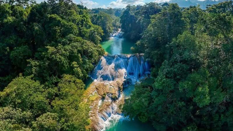 Cascadas Roberto Barrios, Chiapas: la joya escondida de la selva que conquista con sus aguas cristalinas