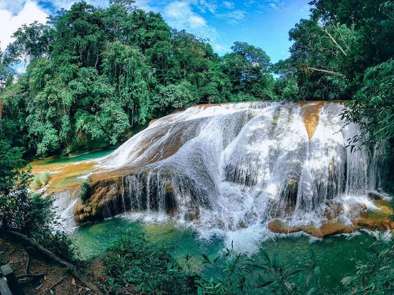 Cascadas Roberto Barrios, Chiapas: la joya escondida de la selva que conquista con sus aguas cristalinas