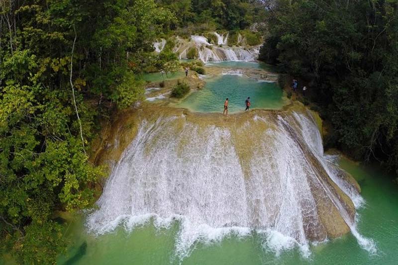 Cascadas Roberto Barrios, Chiapas: la joya escondida de la selva que conquista con sus aguas cristalinas