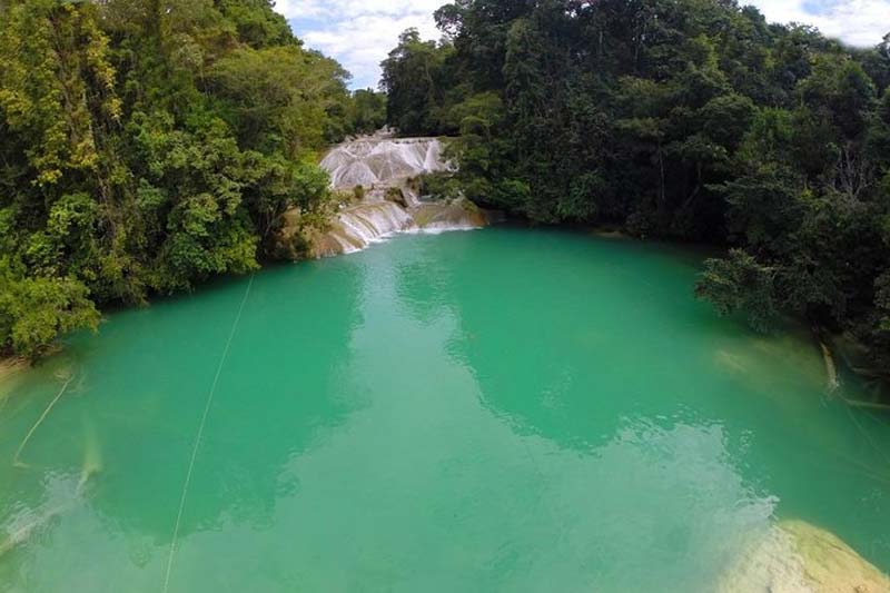Cascadas Roberto Barrios, Chiapas: la joya escondida de la selva que conquista con sus aguas cristalinas