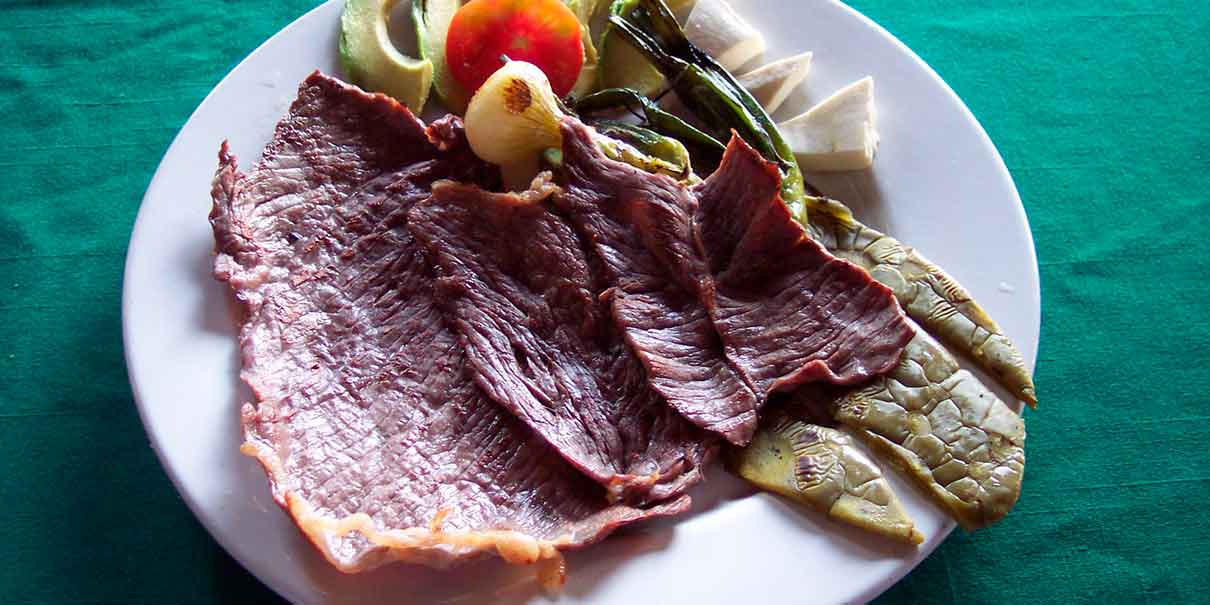 Cecina