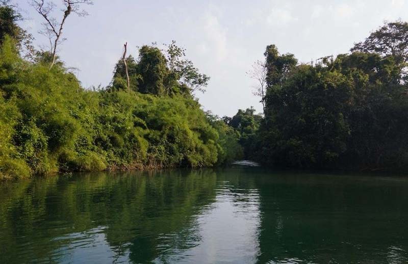 Centro Ecoturístico Las Guacamayas, Chiapas: un viaje al corazón de la Selva Lacandona donde vuelan las guacamayas rojas