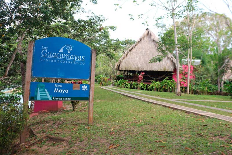 Centro Ecoturístico Las Guacamayas, Chiapas: un viaje al corazón de la Selva Lacandona donde vuelan las guacamayas rojas