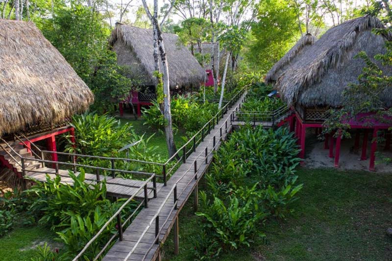 Centro Ecoturístico Las Guacamayas, Chiapas: un viaje al corazón de la Selva Lacandona donde vuelan las guacamayas rojas