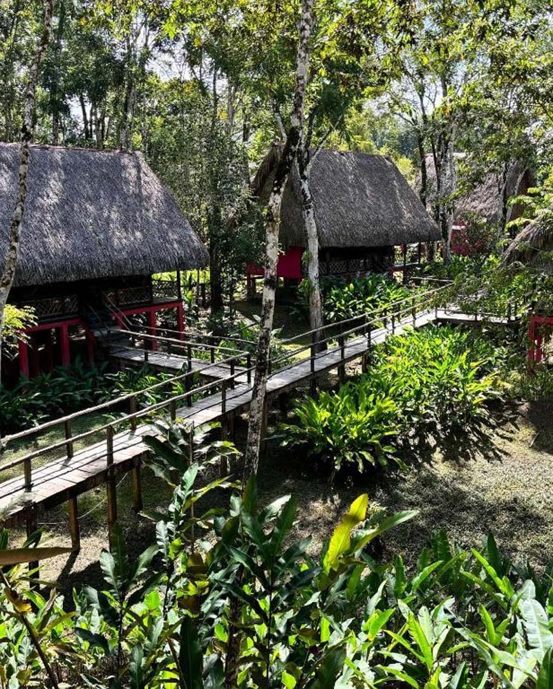 Centro Ecoturístico Las Guacamayas, Chiapas: un viaje al corazón de la Selva Lacandona donde vuelan las guacamayas rojas