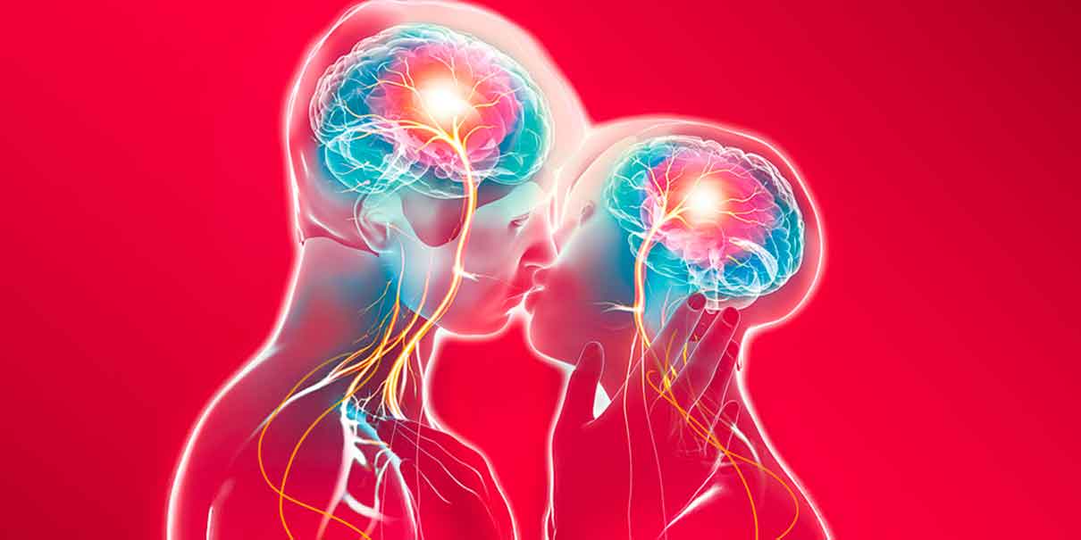 El cerebro en el amor