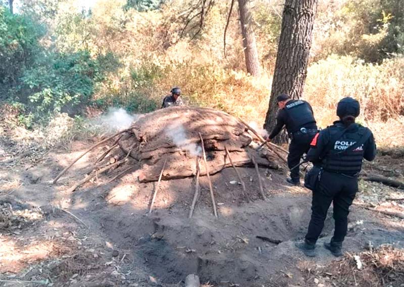 Confiscan madera en zona montañosa entre Puebla y Tlaxcala