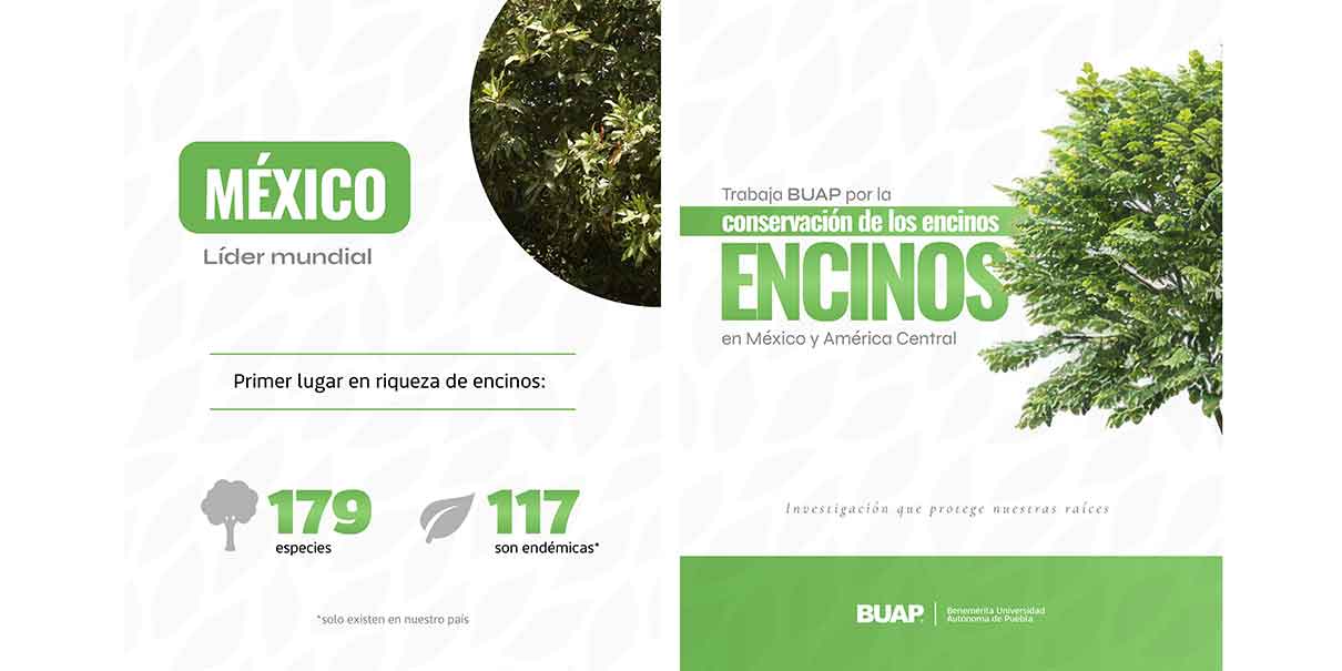 BUAP