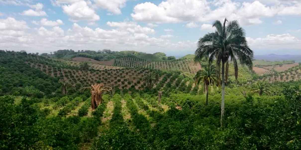 Zona Arqueológica Cuyuxquihui