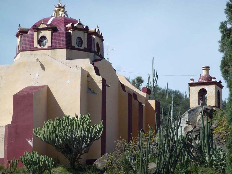 Descubre el Jardín Botánico Helia Bravo Hollis, joya natural de Zapotitlán Salinas, Puebla